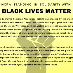 Standing in Solidarity: Black Lives Matter