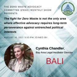 Political Advocacy Beyond Zero Waste Ft. Cynthia Chandler, 8/21