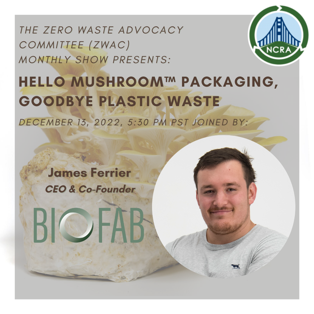 Hello Mushroom™ Packaging, Goodbye Plastic Waste, 12/22